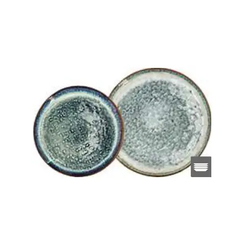 Assiette plate